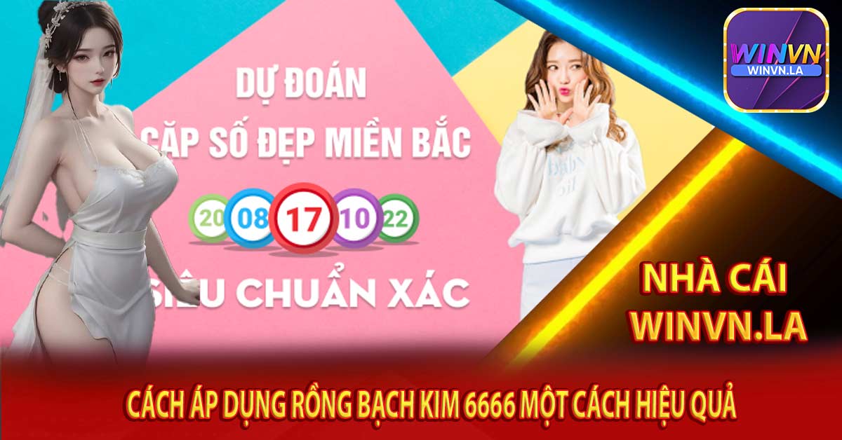 Cách Áp Dụng Rồng Bạch Kim 6666 Một Cách Hiệu Quả